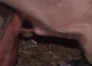 Farm girl is being pounded by a pig