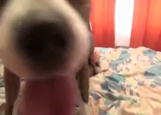 Doggy dick is matching her pussy perfectly well