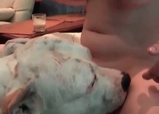 Big-tit slut is having some bestiality fun with a dog