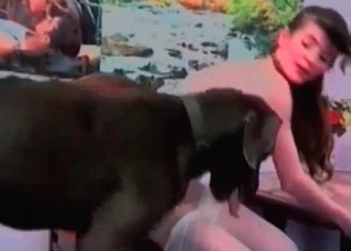 Zoophiles are enjoying a horny black Doberman