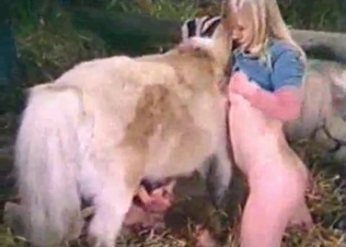Freaking perverted dog sex action