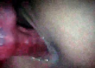 Sweet creampie by a lovely doggy for a zoophile