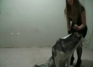 Sexy dog enjoying brutal banging
