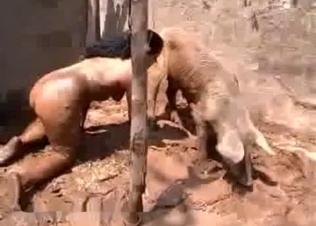 Brunette seducing that sexy beast