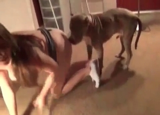 White socks zoophile gets gaped