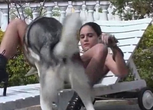 Shaved pussy licked by a dog