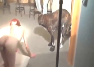 Adorable puppy wants to fuck a sexy redhead