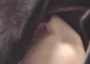Black dog banging zoophile in the ass hard