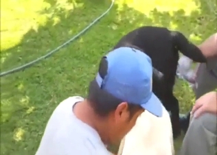 Zoo porn shows a dude who gathers dog semen