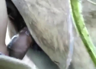 Zoo sex with a bunch of close-ups, it's so hot