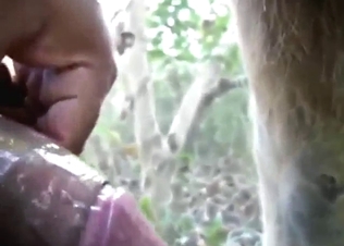 Zoo sex with a bunch of close-ups, it's so hot