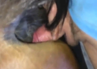 Guy wants to use his penis to nut inside a mare