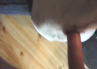 Zoophile sex scene with a dog and its exposed hole