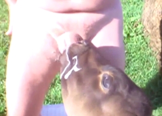 Zoophile porn with a guy who gets his dick sucked