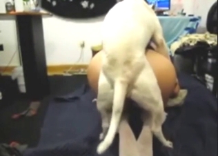 Zoo XXX shows a white dog fucking wet pussy