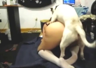 Zoo XXX shows a white dog fucking wet pussy