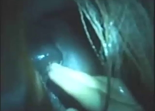 Zoo porn with anal fisting for a submissive animal