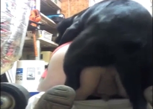 Zoophile is doing all he can while fucking a dog