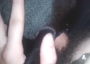 Bestiality sex with a dog: assfuck madness