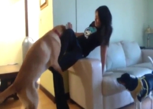 Bestiality porn showing an Asian girl orgasming