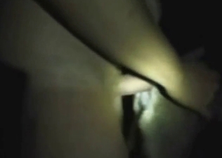 Zoo sex with nighttime anal for a sexy-ass dog