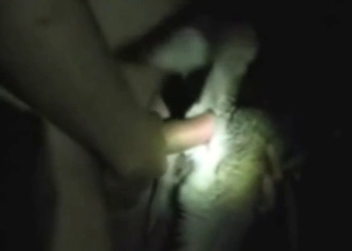 Zoo sex with nighttime anal for a sexy-ass dog